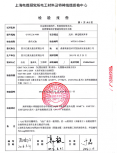 產(chǎn)品檢驗(yàn)報(bào)告