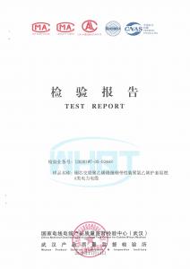 產(chǎn)品檢驗(yàn)報告